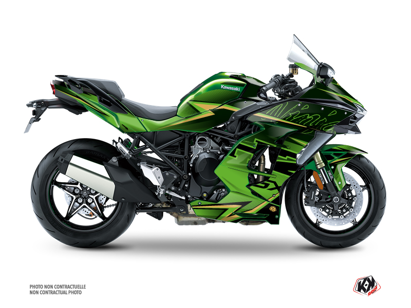 kit déco moto kawasaki profil noir-vert série